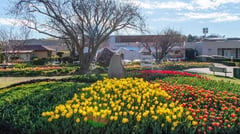 Bowral Garden 