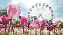 Floriade 