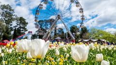Canberra Floriade 