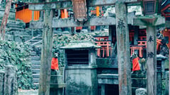 Kyoto Traditional Temple 