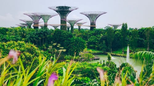 Singapore Gardens 