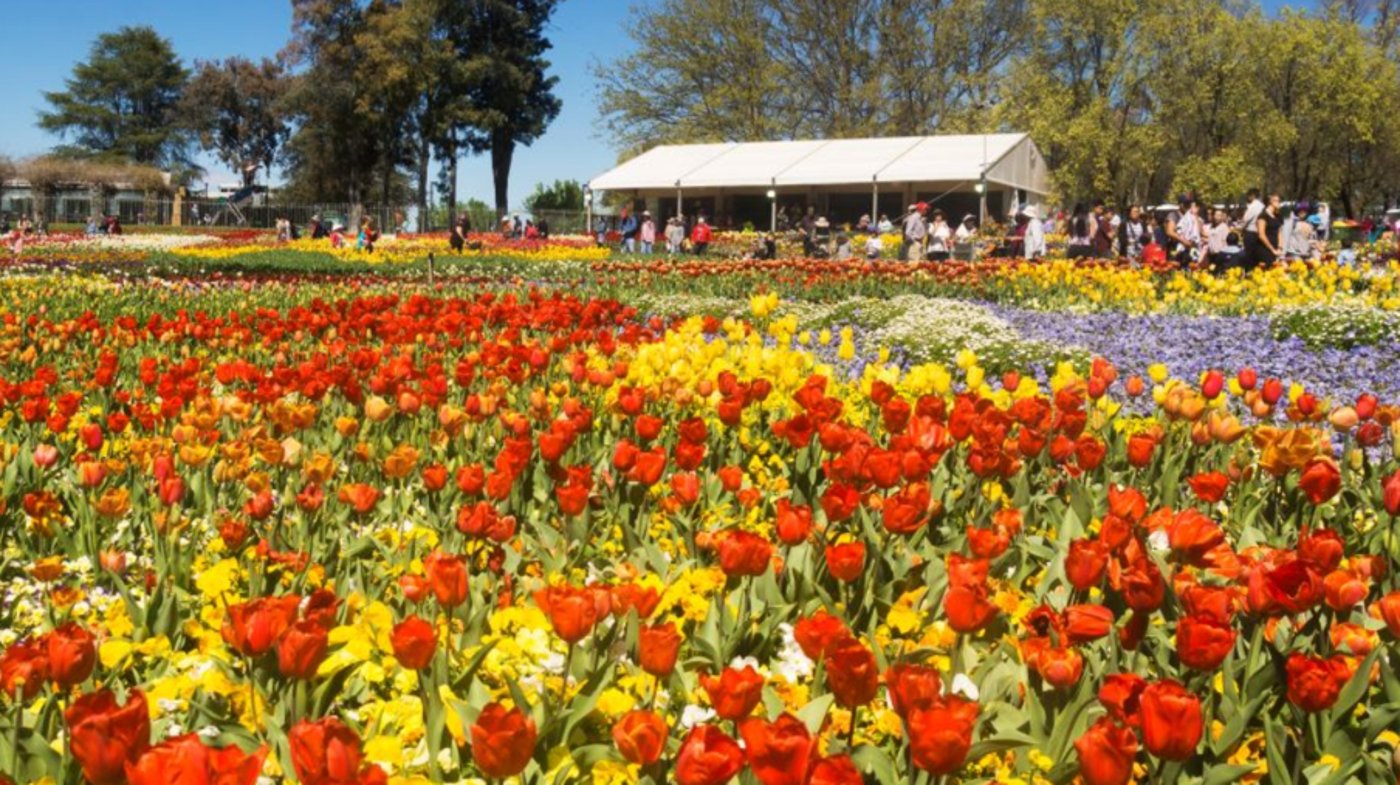 ACT - Canberra - Floriade 