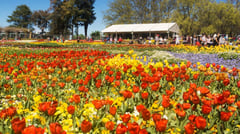 ACT - Canberra - Floriade 