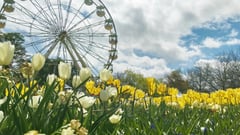 ACT - Floriade 
