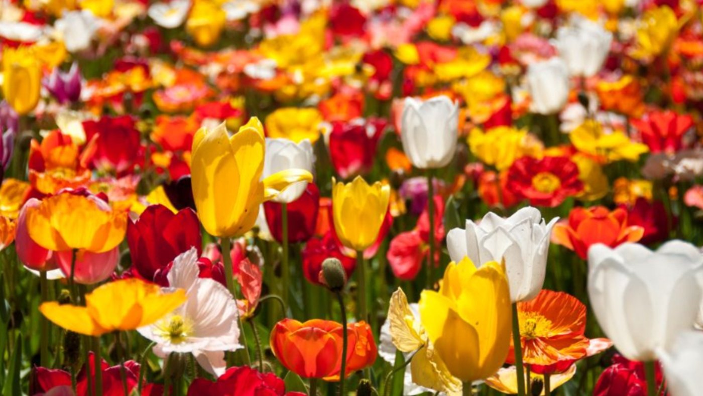 Floriade 