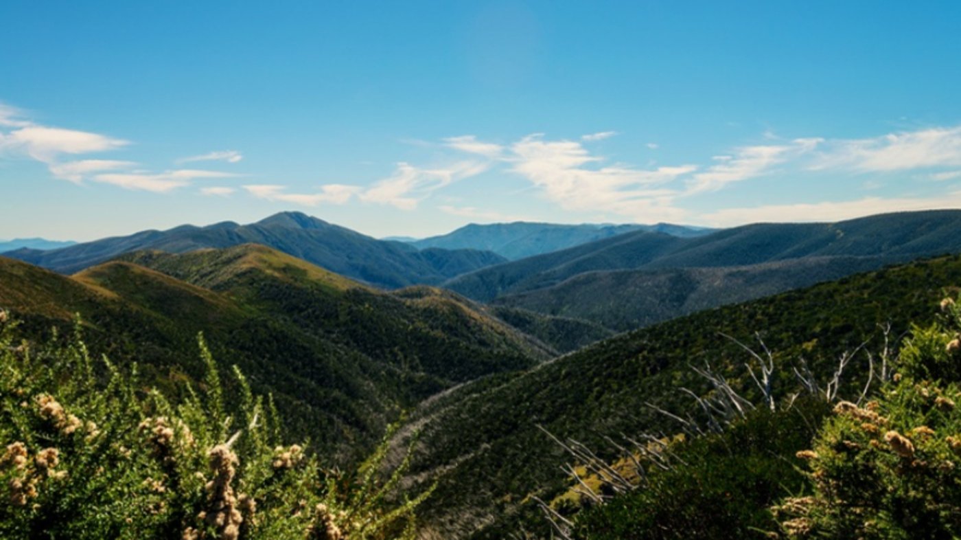 Alpine High Country