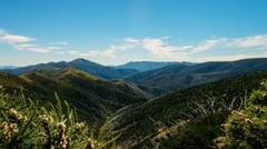 Alpine High Country