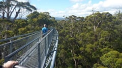 Valley of the Giants Tree Top Walk
