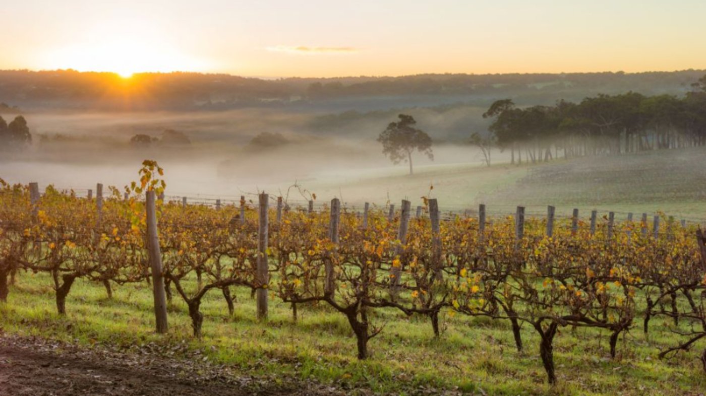 Margaret River Winery