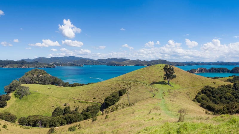 Bay Of Islands, New Zealand 
