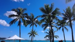 Airlie Beach, Queensland, Australia