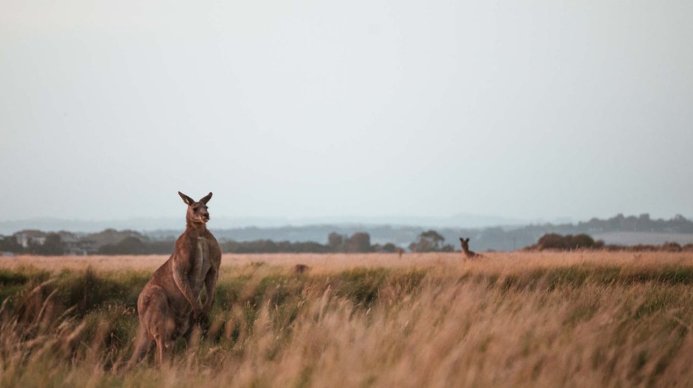Nullarbor, South Australia, Australia