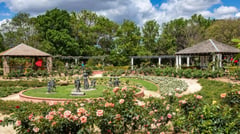 Hunter Valley Gardens - Rose Garden