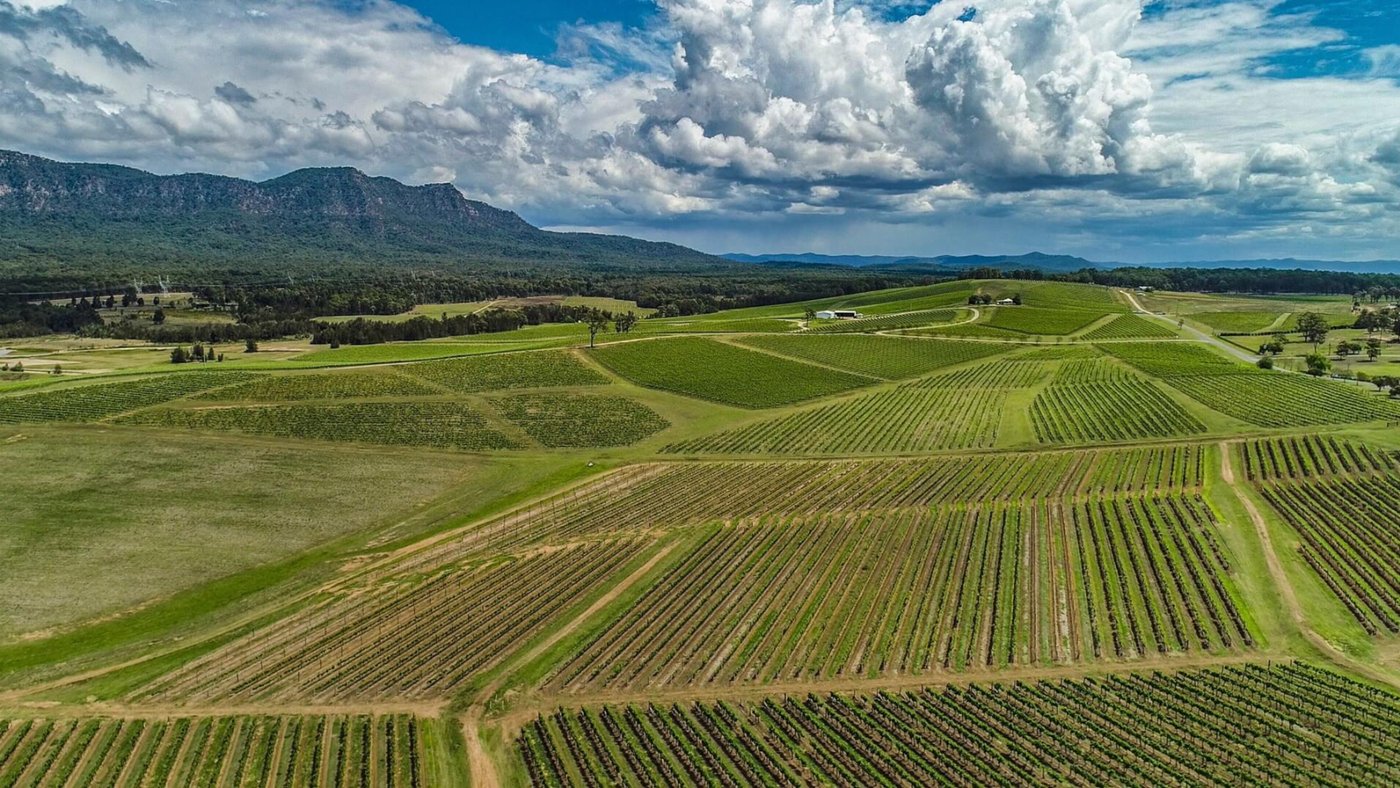Hunter Valley Vineyards