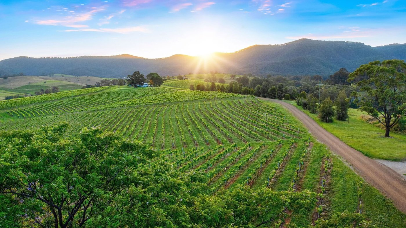 Hunter Valley Vineyards