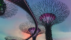 Day 13 - Singapore