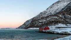 Bodo - Rorvik