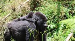 Mother & Baby - Amie Bunnik