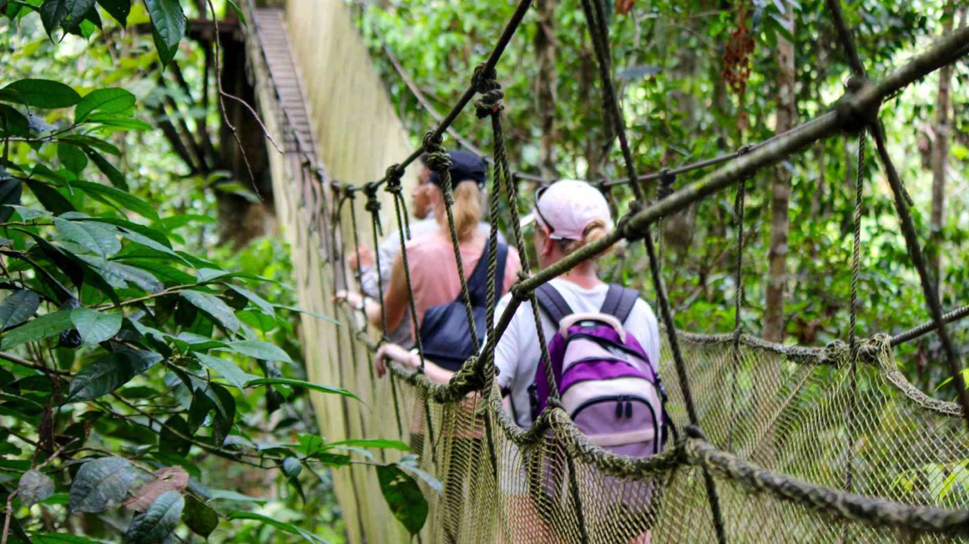 Canopy Walkway in Amazon Jungle