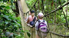 Canopy Walkway in Amazon Jungle