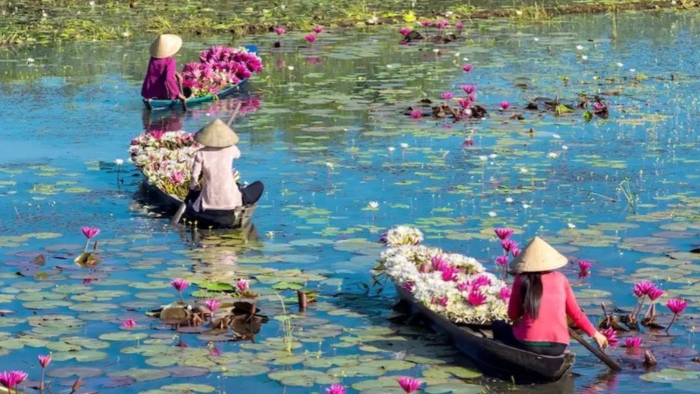 Mekong Delta Water, Lily Harvest 