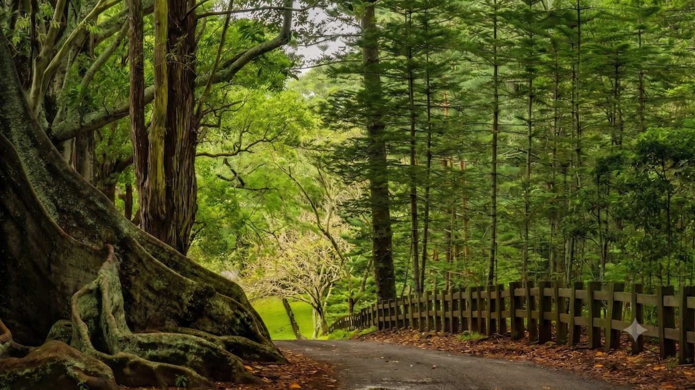 Scenic Drives