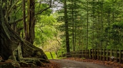 Scenic Drives