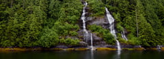 Twin waterfalls cascading through dense evergreen forest into a calm pool.