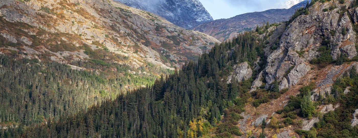 Mountain valley with mixed evergreen and deciduous forest in Alaska.