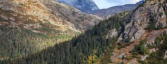 Mountain valley with mixed evergreen and deciduous forest in Alaska.