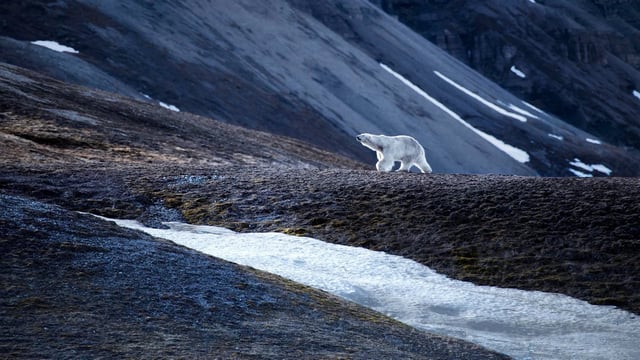 Iceland & Norway's Arctic Explorer