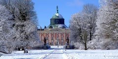 Baroque palace building surrounded by snow-covered trees in winter under a cloudy sky.