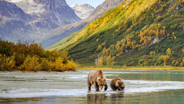 Japan's scenic shores to Alaska's wilderness exploration
