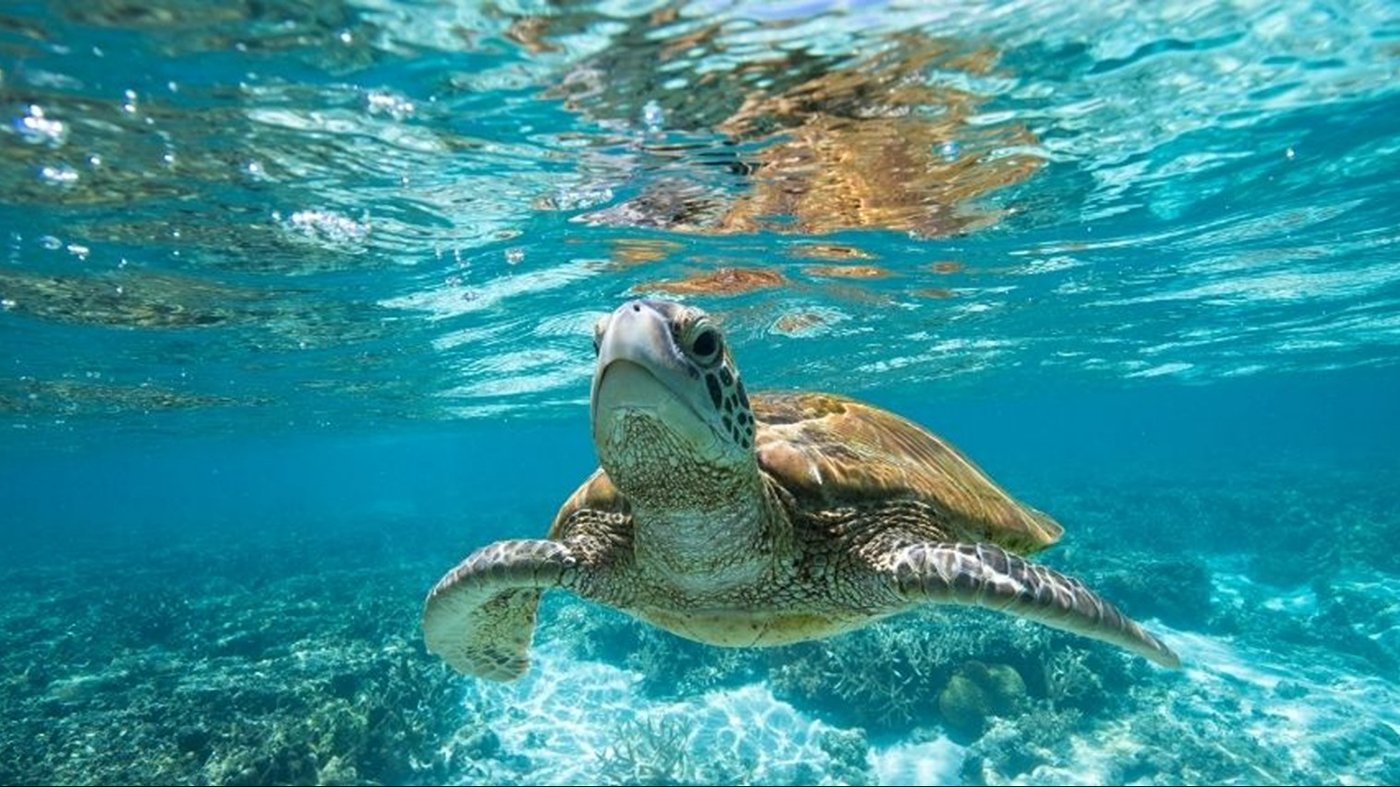 Cairns, Australia