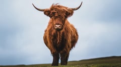 Invergordon, Inverness, Scotland