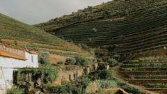 Douro Valley, Portugal
