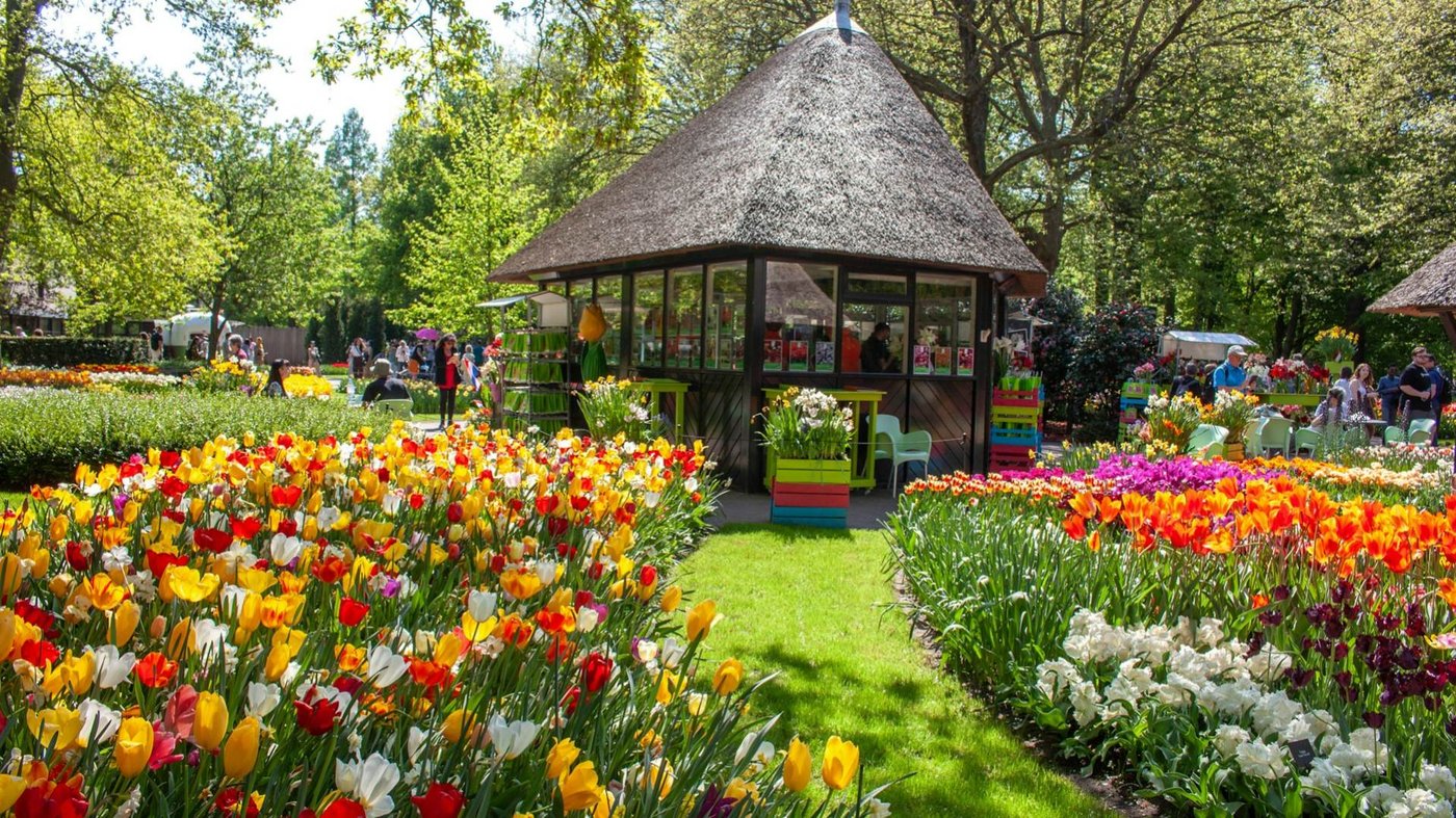 Chelsea Flower Show