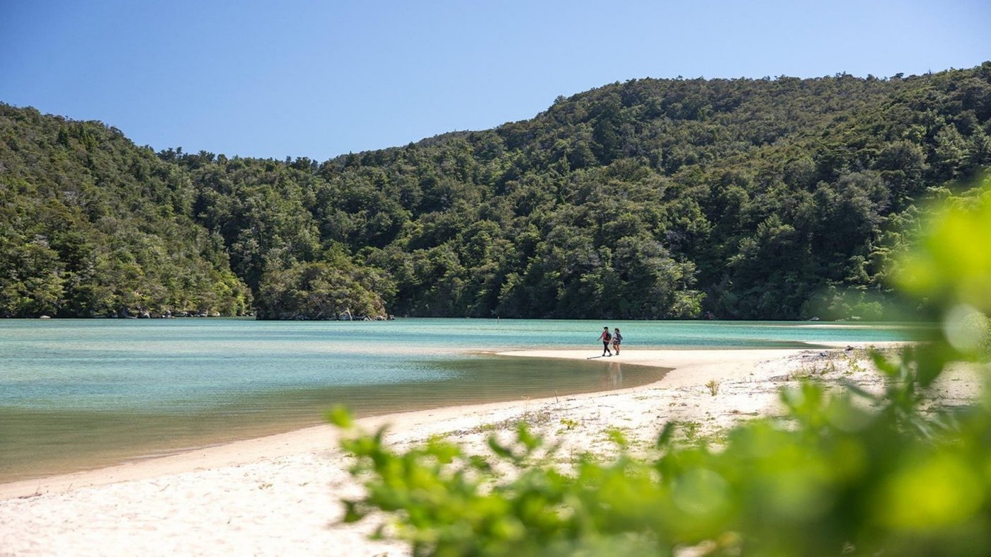 A secluded beach with turquoise water and forested hills in New Zealand's South Island.