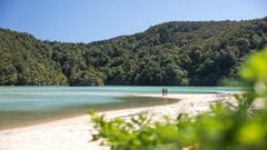 A secluded beach with turquoise water and forested hills in New Zealand's South Island.