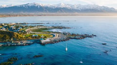 Aerial photograph of a coastal settlement with pier and marina backed by snow-covered mountain range.