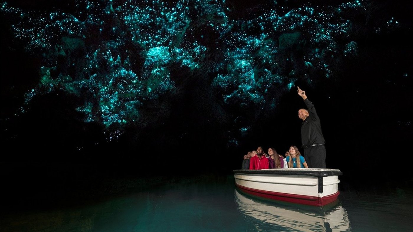 Tourists in a small boat viewing glowworms illuminating the ceiling of a dark cave.
