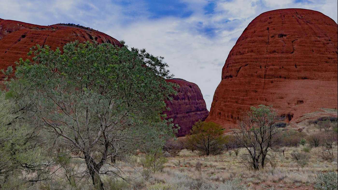 Walpa Gorge