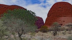 Walpa Gorge