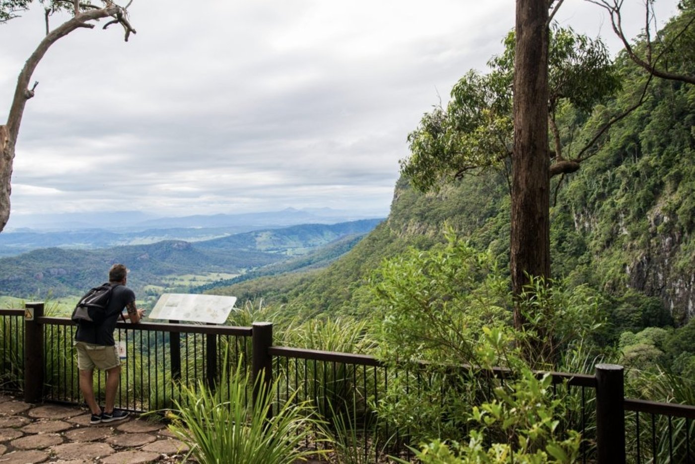 Person sitting at a viewing platform overlooking forested mountain valleys in the Queensland hinterland.