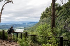 Person sitting at a viewing platform overlooking forested mountain valleys in the Queensland hinterland.