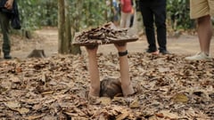 Explore the Cu Chi tunnels