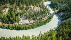 Kicking Horse