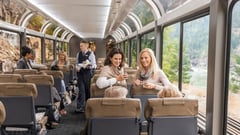SilverLeaf Carriage