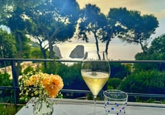 A glass of white wine and flowers on a terrace table overlooking the Mediterranean Sea with pine trees framing the view.