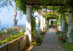 A vine-covered pergola walkway with potted flowers overlooking the Mediterranean coastline.